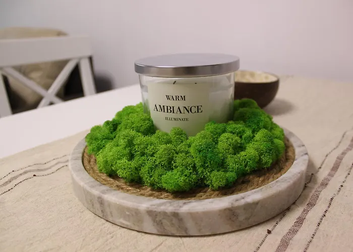 Perspective View Apartman Veliko Tarnovo